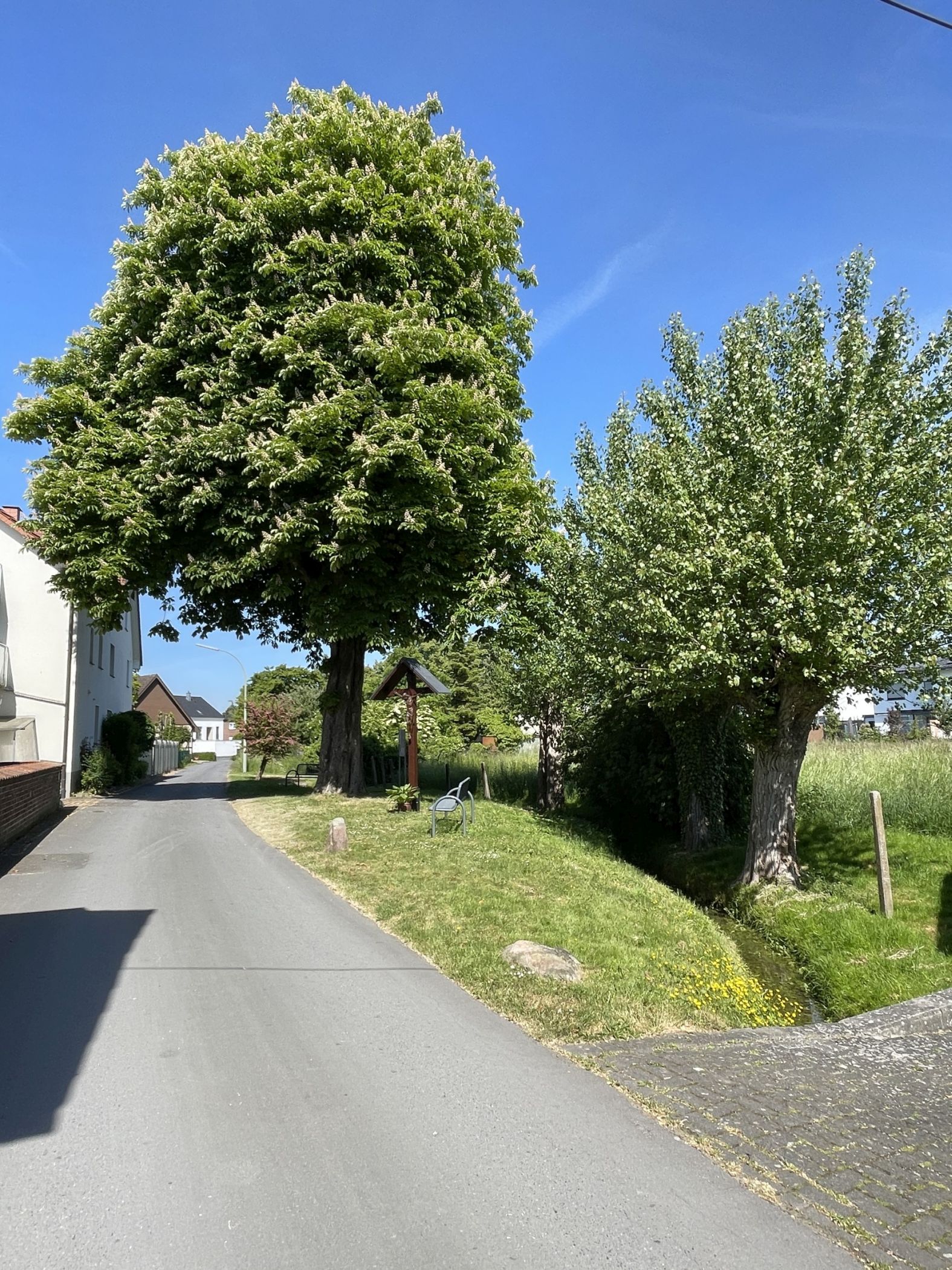 Das Rondell am Ostwall<br>Quelle: Altertumskommission für Westfalen