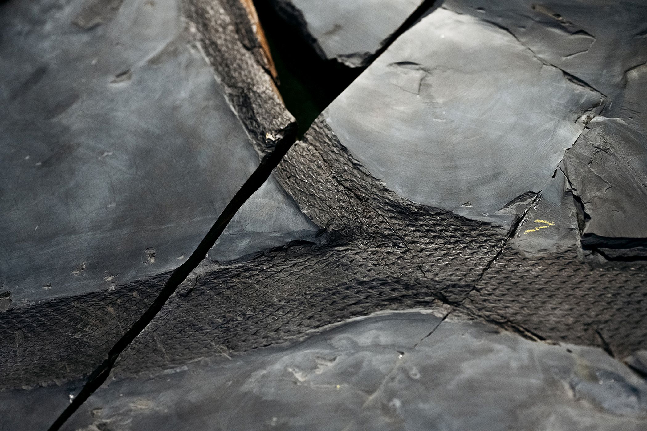 Das namensgebende Schuppen­muster, das sich über den gesamten Stamm zieht, ist auf dem untersuchten Fossil des ausgestorbenen Bärlappbaums gut zu erkennen. An jeder dieser "Schuppen" saß einst ein schmales, nadelförmiges Blatt.<br>Foto: LWL/Steinweg