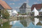 Foto zur Mitteilung