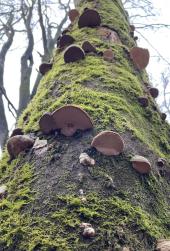 Foto zur Mitteilung