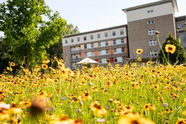 Das Zentrum für Sozialpsychiatrie der LWL-Klinik Lippstadt lädt herzlich ein zur monatlichen Angehörigengruppe.&lt;br&gt;Foto: LWL-Klinik Lippstadt 