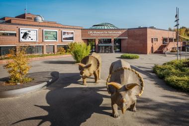 Das Planetarium im LWL-Museum für Naturkunde zeigt eine 4D-Performance zur Sensibilisierung der Palliativarbeit.<br>Foto: LWL /Steinweg