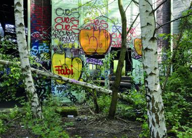An einem stillgelegten Güterbahnhof in Dortmund-Huckarde nahm Joachim Schumacher dieses Motiv auf - ab Dienstag zu sehen in der Ausstellung "Birke und Brache" in der Zeche Hannover in Bochum.<br>Foto: Joachim Schumacher