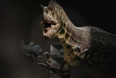 Wer sich beim normalen Museumsbesuch eine zusätzliche Prise Abenteuer gewünscht hat, findet diese bei &quot;Dinos im Dunklen&quot;.&lt;br&gt;Foto: LWL/Steinweg 