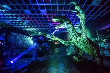 "Nachts im Museum"; bietet einen Museumsbesuch mit einzigartigen Aktivitäten in einer einmaligen Atmosphäre.<br>Foto: LWL/Steinweg