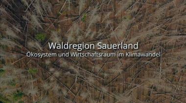 Der LWL hat jetzt den Dokumentarfilm &quot;Waldregion Sauerland&quot; zur Gegenwart und Zukunft des westfälischen Waldes im Klimawandel veröffentlicht.&lt;br&gt;Foto: LWL 