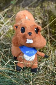 "Marli" macht Mut<br>Foto: LWL/Kerstin Seifert
