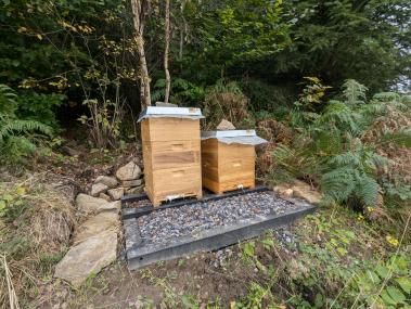 Das sind die neuen Bienenstöcke der LWL-Klinik Hemer.<br>Foto: LWL/Michaela Rensing