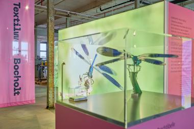 Noch bis zum 3. November können Besucherinnen und Besucher die Sonderausstellungen "IndustrieInsekten" sowie "D.I.S.C.O." besuchen.<br>Foto: LWL / Philipp Harms