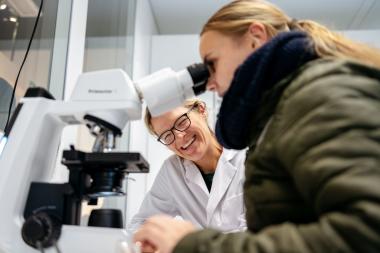 Dem Geheimnis der DNA können Interessierte im Workshop "Gene" im LWL-Museum für Naturkunde auf die Spur gehen.<br>Foto: LWL/Steinweg