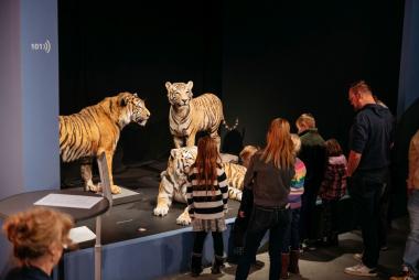 Die Gene-Ausstellung kann Heiligabend zu den Sonderöffnungszeiten 10 bis 15 Uhr kostenfrei besucht werden.<br>Foto: LWL/Steinweg