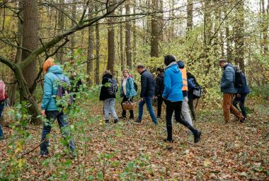 Auf die Suche nach Winterpilzen können sich Interessierte im Rahmen der Artenakademie begeben.<br>Foto: LWL/Steinweg