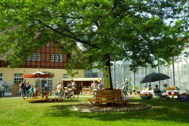 Alle zwei Jahre richtet die LWL-Maßregelvollzugsklinik außerhalb des Sicherheitsbereichs ihr beliebtes Sommerfest für die ganze Familie aus.<br>Foto: LWL/Teupe