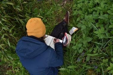 Beim zweitägigen Workshop lernen Interessierte einiges über Journaling und das Führen eines Naturjournals.<br>Foto: Privat/Alexander Havenstein