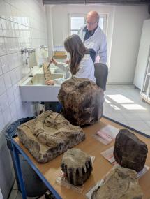 Kea Schlüter und Marius Grütter reinigen die Bruchstücke der Renaissancefassade.<br>Foto: LWL-AfW/J. Großekathöfer