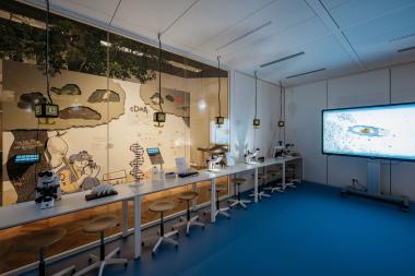Dem Geheimnis der DNA können Interessierte im Workshop "Gene" im LWL-Museum für Naturkunde auf die Spur gehen.<br>Foto: LWL/Steinweg