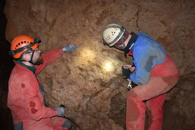 In einem paläontologischen Vortrag werden erste Ergebnisse und Beobachtungen aus einer neu entdeckten Höhle im Sauerland vorgestellt. Neben gelegentlichen Bewohnern, die noch heute die Höhle aufsuchen (Fledermäuse, Marter etc.), enthält sie auch fossiles Knochenmaterial und Lebensspuren von Höhlenbären.<br>Foto: LWL/A. Schwermann