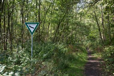 Zahlreiche Tier- und Pflanzenarten haben sich seit der Stilllegung der Zeche Zollern auf der ehemaligen Halde angesiedelt. Eine naturkundliche Exkursion gibt Einblicke.<br>Foto: LWL/ Annette Hudemann