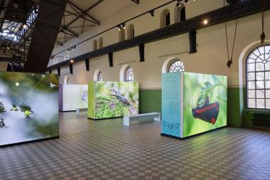 Faszinierende Großaufnahmen von Insekten sind aktuell in der Maschinenhalle der Zeche Hannover zu sehen.<br>Foto: LWL / Julia Gehrmann