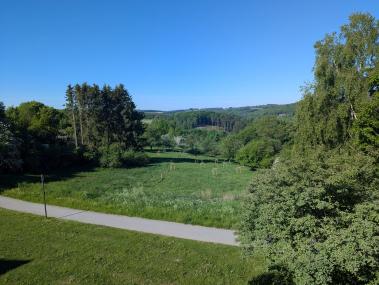 Schon die Namen der Apfelbäume sind ein Gang durch die Geschichte: Großer Pfannkuchenapfel, Sternrenette und Geheimrat Dr. Oldenburg sollen auf der Wiese später leckere Äpfel hervorbringen.&lt;br&gt;Foto: LWL / Michaela Rensing 
