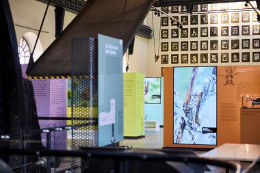 Im Rahmenprogramm der aktuellen Ausstellung &quot;IndustrieInsekten&quot; gibt es am Donnerstag (5.6.) einen Vortrag zum Thema &quot;Future Food&quot;.&lt;br&gt;Foto: LWL / Julia Gehrmann 