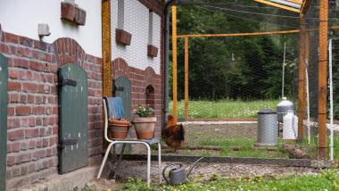 Unter den stets wachsamen Augen der Hühner findet am Samstag eine Führung durch den Arbeitergarten der Zeche Zollern statt.<br>Foto: LWL / Julia Gehrmann