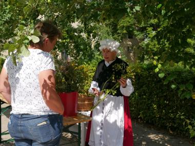 Kräuterexpertin Beate von Sobbe erläutert am Dalheimer Thementag die Charakteristika eines typischen regionalen Krautbunds.<br>Foto: LWL/Kristina Schellenberg