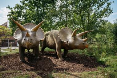 Zu einem Besuch der Gene-Ausstellung bei freiem Eintritt lädt das LWL-Museum für  Naturkunde alle Interessierten ein.<br>Foto: LWL/Steinweg