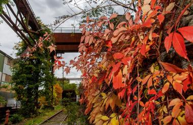 Herbst auf der Hütte: Inspiriert von den geheimen Orten auf dem Museumsgelände entwickeln Jugendliche in einem Workshop ein kleines Theaterstück.<br>Foto: LWL / Walter Fischer