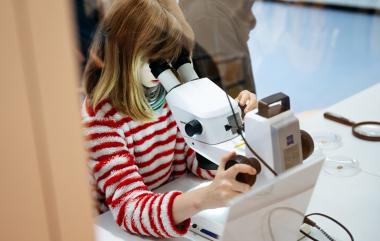 Auf die Spuren des ganz Kleinen können Interessierte im Workshop "Mikroskopieren" im LWL-Museum für Naturkunde gehen.<br>Foto: LWL/Steinweg