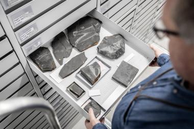 Bei einer Führung durch das Zentralmagazin in der Speicherstadt erhalten Besucher exklusive Einblicke in die Sammlungen des LWL-Museums für Naturkunde.<br>Foto: LWL/Steinweg