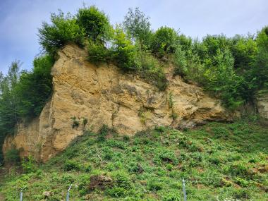 Der Doberg steht im Mittelpunkt einer rund zweistündigen Wanderung der Artenakademie des LWL-Museums und der Biologischen Station Ravensberg.<br>Foto: Copyright: Biologische Station Ravensberg