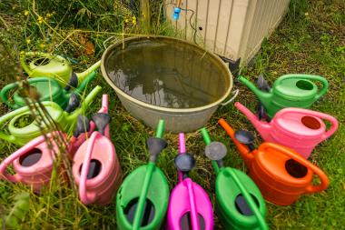 Garten- und Parkbetreiber sind herzlich eingeladen, sich mit ihren Garten- und Parkanlagen zu den "Tagen der Gärten und Parks in Westfalen-Lippe" am 13. und 14. Juni anzumelden. Das Fokusthema in diesem Jahr lautet "Wertvolles Wasser". <br>Foto: LWL / Roland Baege 