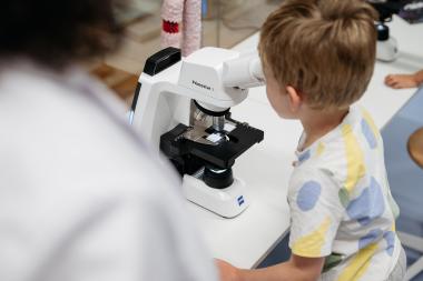 Dem Geheimnis der DNA können Interessierte im Workshop "Gene" im LWL-Museum für Naturkunde auf die Spur gehen.<br>Foto: LWL/Steinweg