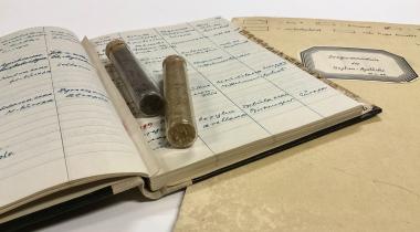 Ansichten der historischen Pflanzendrogensammlung des Landesmuseums für Natur und Mensch Oldenburg.<br>Foto: Nico Themann