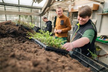 Wer sinnvoll expandiert, erntet Erfolg: Die Gärtnerei startete mit zwei Gärtnern, mittlerweile sind 16 Angestellte im Bereich tätig.<br>Foto: LWL/Frank Peterschröder 