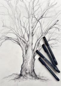 Beim Zeichenworkshop auf der Zeche Nachtigall können die Teilnehmenden zum Beispiel Bäume zeichnen. <br>Foto: Kristina Kühne