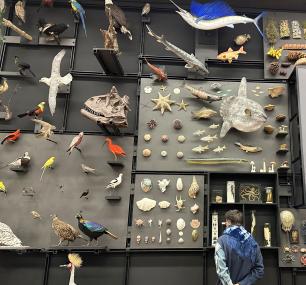 An zwei Tagen kann die Gene-Ausstellung im LWL-Museum für Naturkunde bei freiem Eintritt besucht werden.<br>Foto: LWL/Fialla