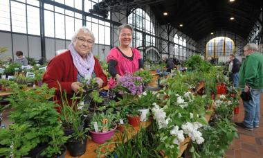 Beim Gartenkungelmarkt in der Maschinenhalle gibt es wieder eine große Auswahl an Pflanzen und Ablegern für kleines Geld.<br>Foto: LWL / Jürgen A. Appelhans 
