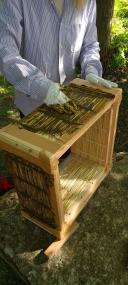 Mit "Maibutter" werden die Nistkästen der Bienen wetterfest gemacht.<br>Foto: LWL