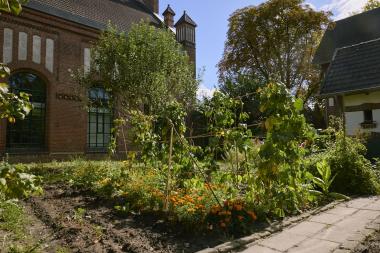 Passend zu den "Tagen der Gärten und Parks" lädt die Zeche Zollern am Wochenende zu einer Führung durch den Arbeitergarten ein.<br>Foto: LWL/ Tobias Sitko