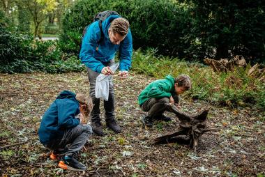 Dem Geheimnis der artenreichsten Tiergruppe können Interessierte im Workshop "Insekten" im LWL-Museum für Naturkunde auf die Spur gehen.<br>Foto: LWL/Steinweg 