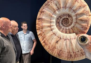 Einblicke in die Erdgeschichte Nordrhein-Westfalens und zu Riesenammoniten gibt es bei der neuen, öffentlichen Sonntagsführung im LWL-Museum für Naturkunde.<br>Foto: LWL/Fialla