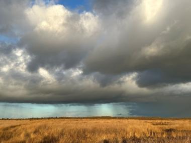 Das Oppenweher Moor lädt zu Naturentdeckungen ein.<br>Foto: LWL/Jörg Wilke 