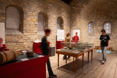 Die neue Foyer-Ausstellung gibt Einblicke in das Leben der Römer an Pader und Lippe.<br>Foto: LWL/E. Daood