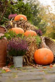 Liebevolle Herbstdeko auf dem gesamten Gelände lädt zum gemütlichen Bummeln ein. Foto: Jörg Rasche/taon_fotos