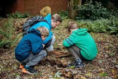 In den Herbstferien können Interessierte im Museumsgarten Naturmaterialien sammeln und damit kreativ werden.<br>Foto: LWL/Christoph Steinweg
