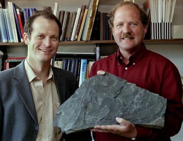 Dr. Michael Kemper und Dr. Lothar Schöllmann (LWL-Naturkundemuseum) mit einem der zahlreichen Fossilien. <br>Foto: LWL/Egbert</br>