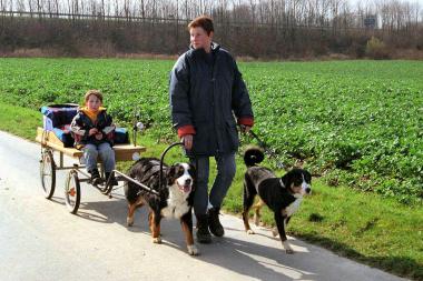 Im LWL-Naturkundemuseum können Kinder am Sonntag eine Fahrt mit dem Hundekarren unternehmen. <br>Foto: LWL/Peitz</br>