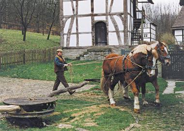 Am Ostersonntag zeigt Heinz-Peter Conredel am Valepagenhof mit dem Kaltblutgespann, wie man früher mit dem Göpel landwirtschaftliche Geräte antrieb. <br>Foto: LWL</br>